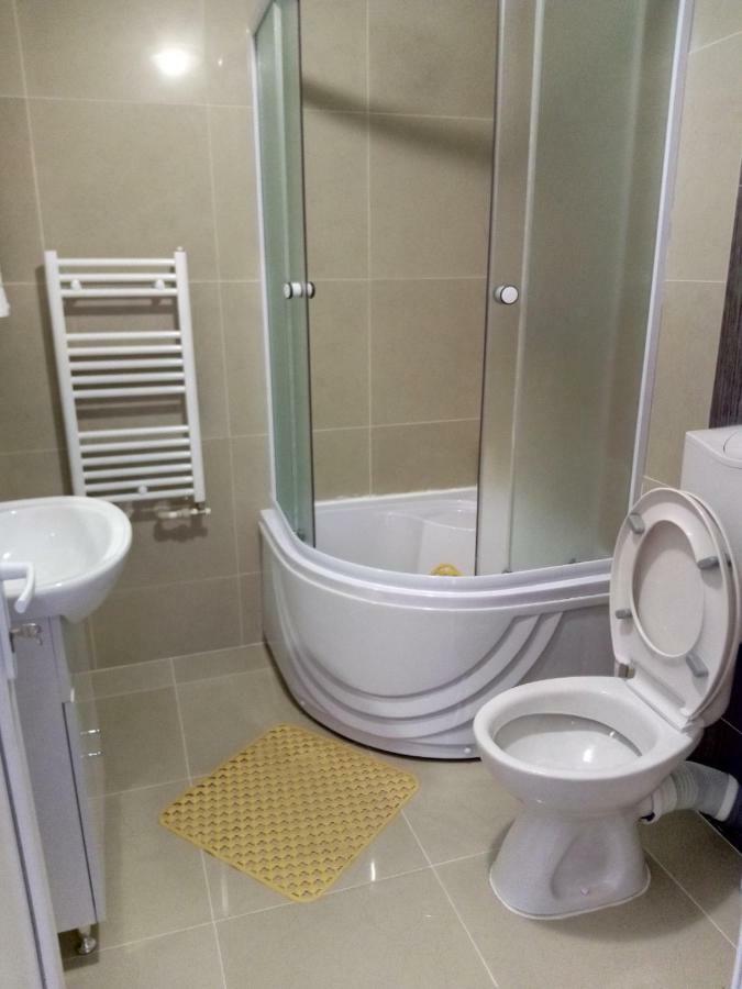 Camere De Inchiriat Carpati Hunedoara Dış mekan fotoğraf